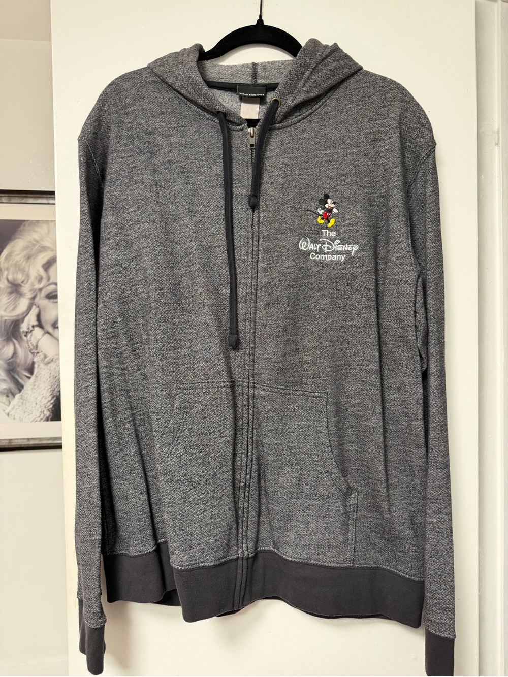 Walt Disney Company Employee Exclusive Men's Gray Zip Hoodie